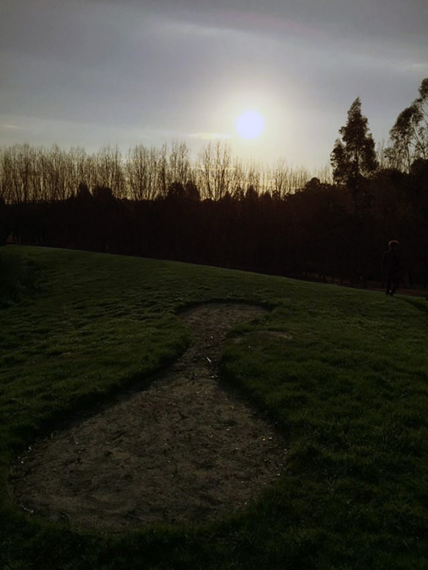 Belle Bassin, Installation at Tarrawarra Museum, In your place, an empty space