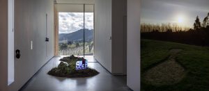 Artwork, video art, installation, performance art, biological art, belle bassin artwork,